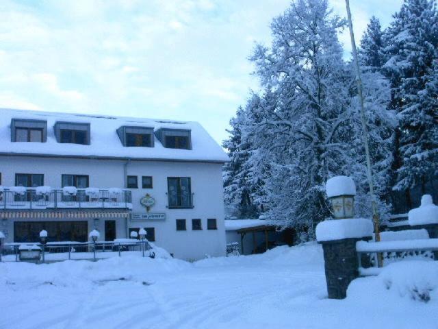 Waldpension Zum Felsenkeller Lichtenfels-Sachsenberg Esterno foto