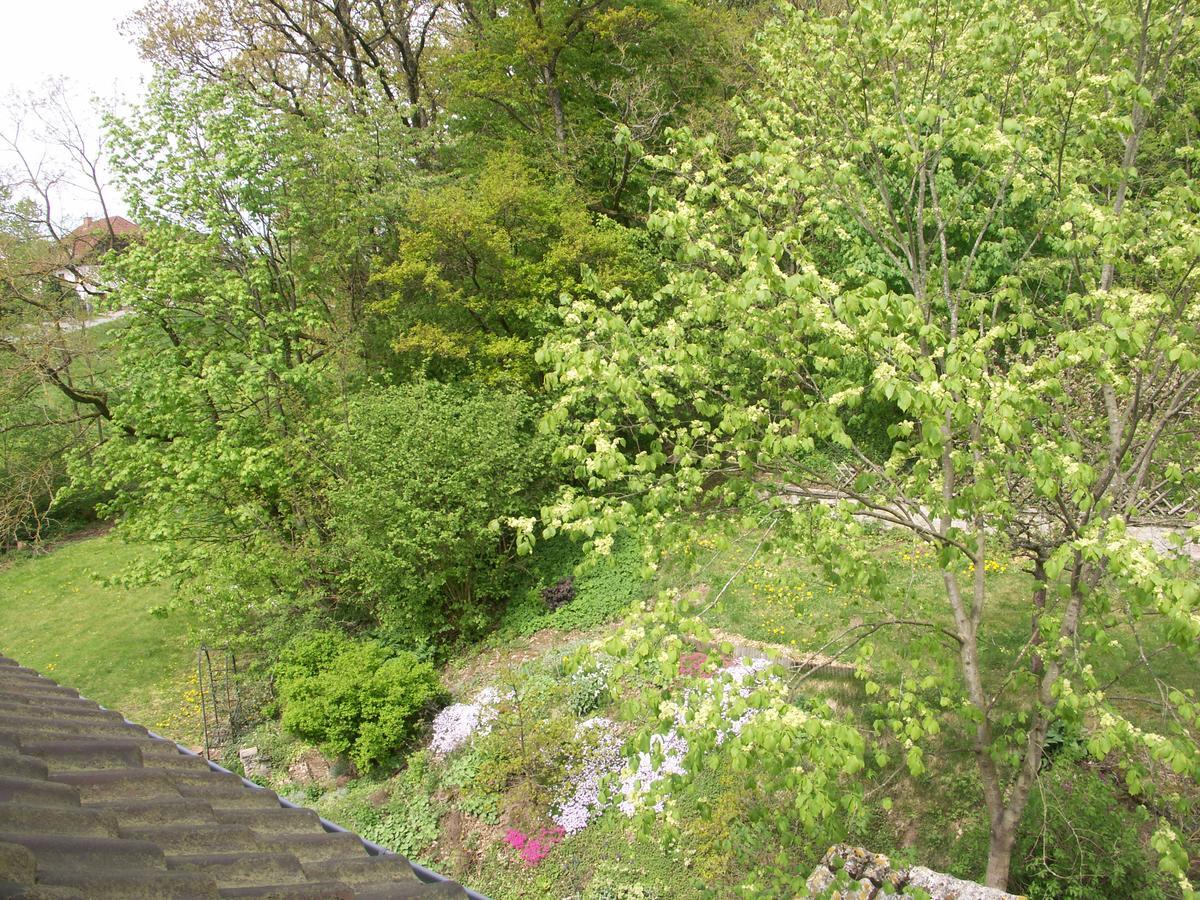 Waldpension Zum Felsenkeller Lichtenfels-Sachsenberg Esterno foto